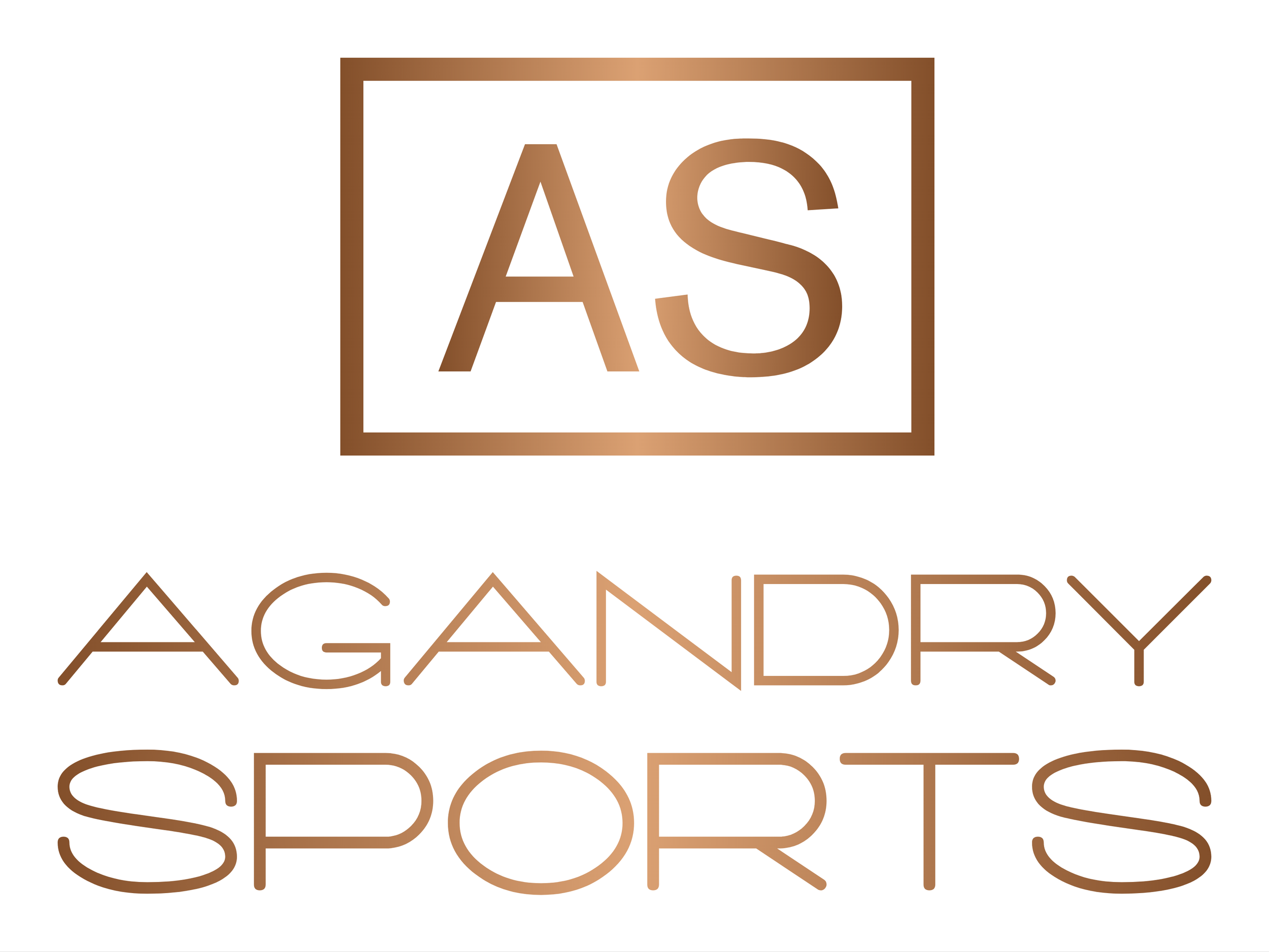 Agandry Sports Solutions India