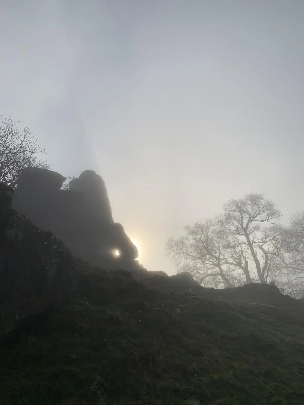 Silhouette of rocky mountains with scattered leafless trees, foggy atmosphere, and the sun peeking through a small opening in the rocks.