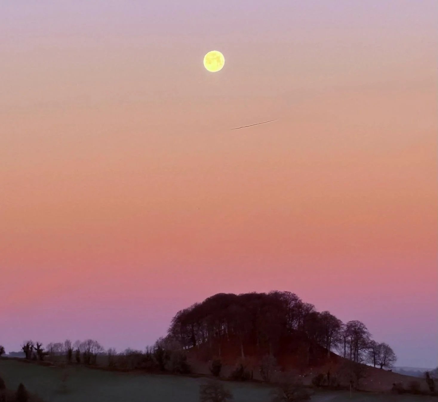 Full moon in a pink and purple evening sky over a silhouette of trees on rolling hills.