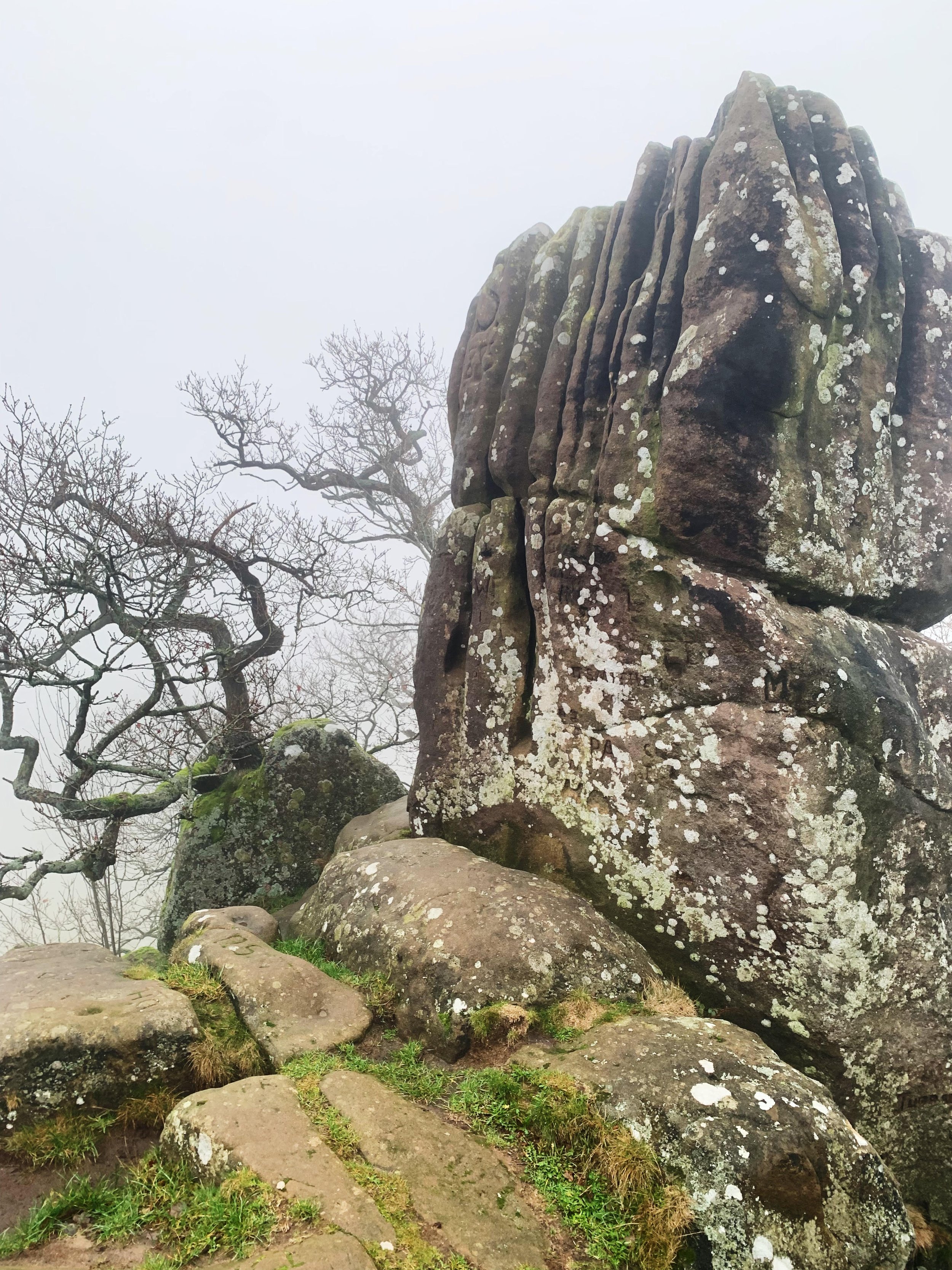 Large moss-covered rocks forming a cliffside with smaller rocks and patches of grass at the bottom. Bare tree branches visible on the left side, with a foggy, gray sky in the background.