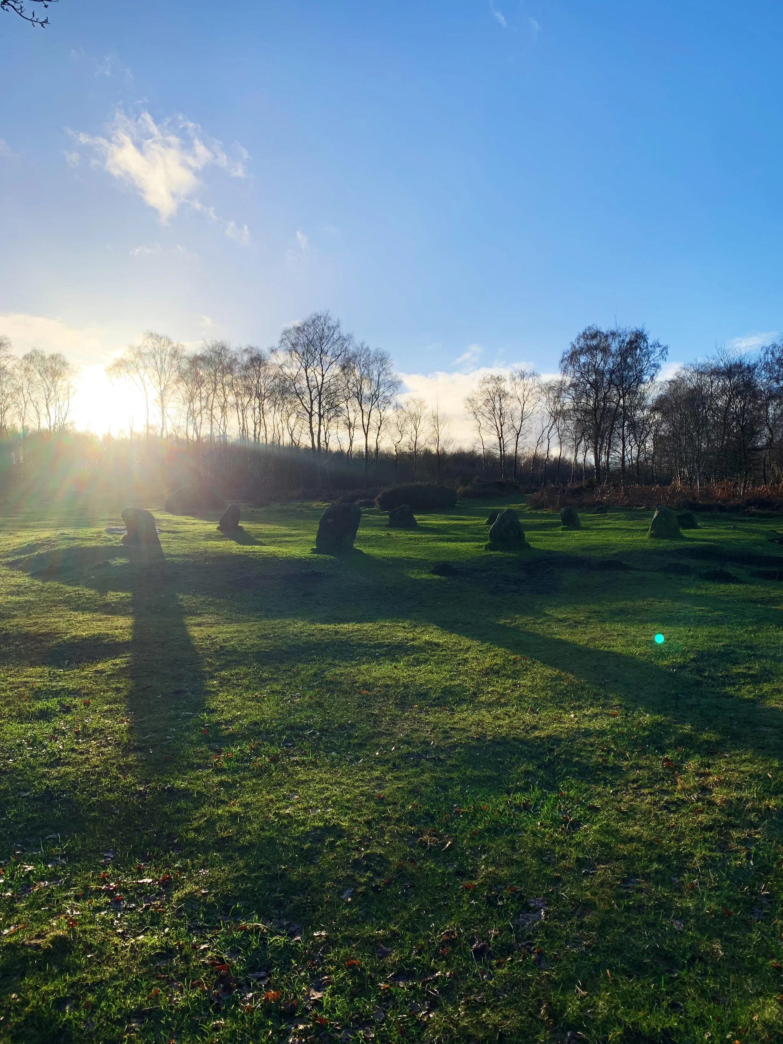 A landscape scene with a grassy foreground, scattered rocks, leafless trees along the horizon, and a blue sky with some clouds. The sun is shining, creating lens flare in the bottom left corner.