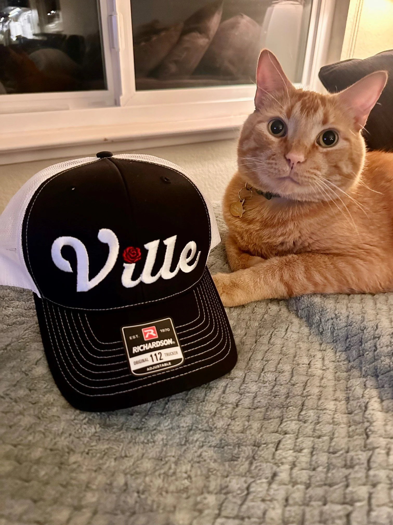 Close-up of a ginger cat with large eyes lying on a gray textured carpet next to a black and white Richardson baseball cap. In the background, a window with blinds and a couch with pillows can be seen.