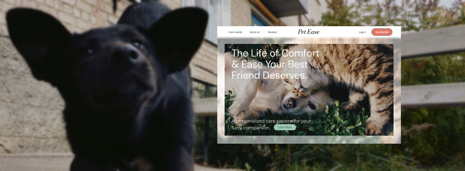 Header image of Pet Ease, with the hero section of the homepage displayed next to a cute black dog.