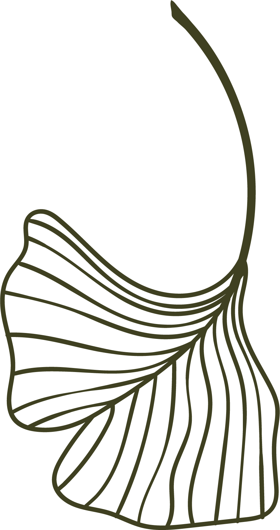 Line drawing of a fish with flowing fins and tail.