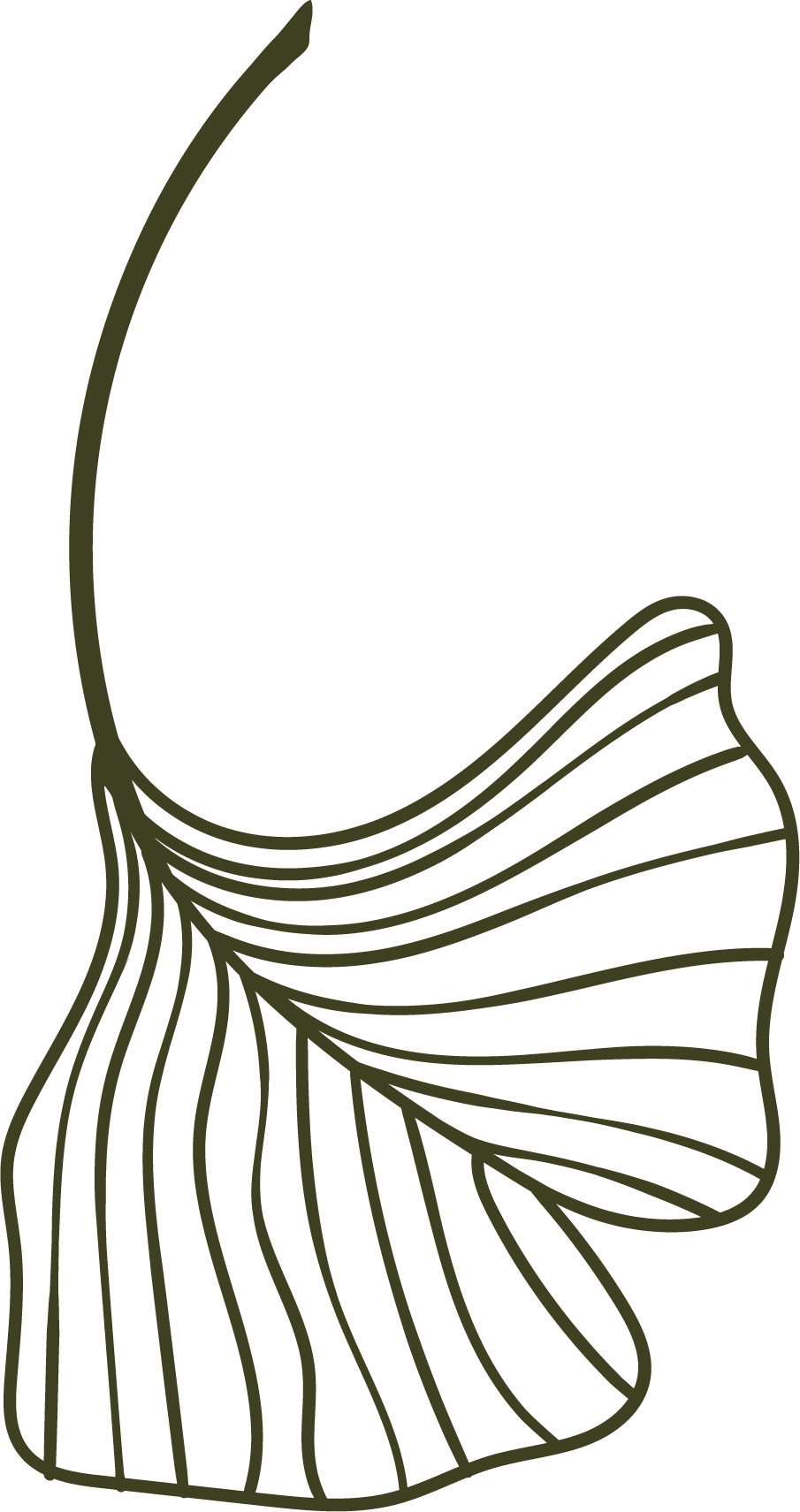 Line drawing of a fish with flowing fins and tail.