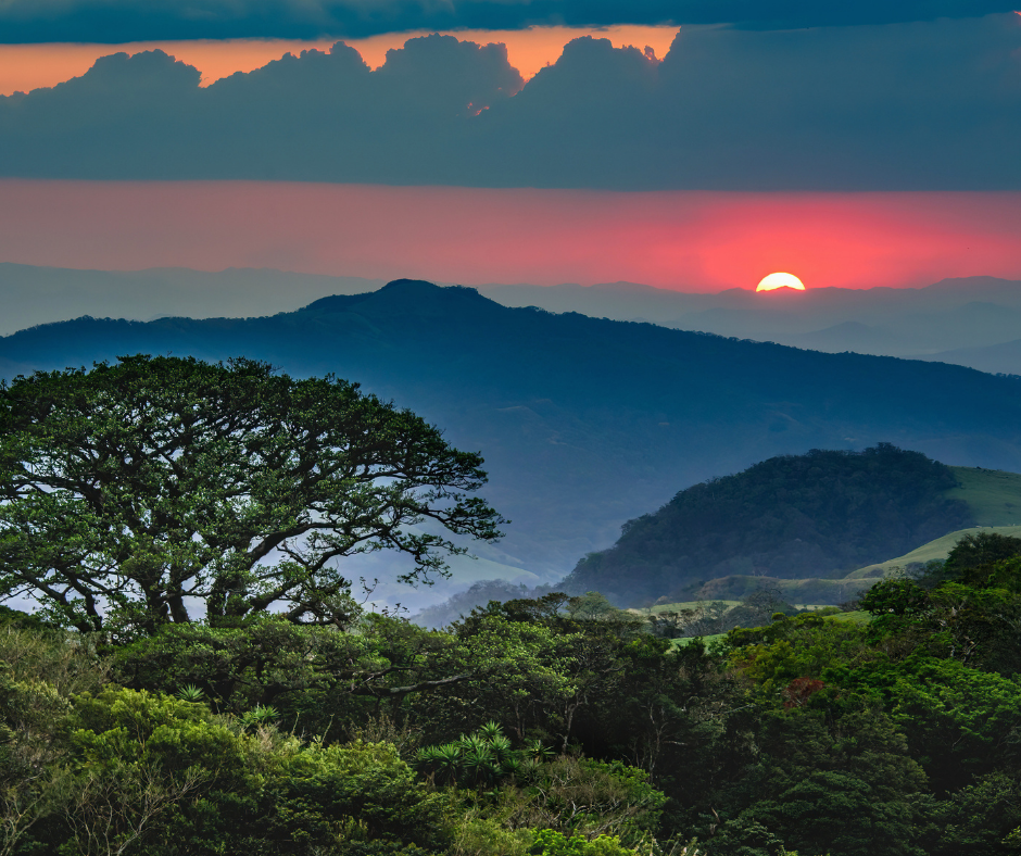 A sunset over rolling hills and lush green trees.