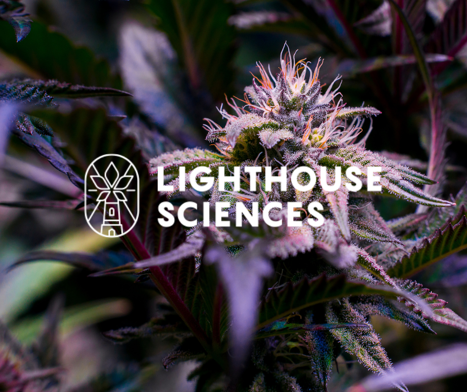 Close-up image of a flowering cannabis plant with the logo and text 'Lighthouse Sciences' overlayed.