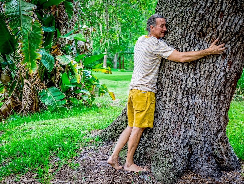 A man hugging a large tree in a green park or backyard with lush foliage and grass.