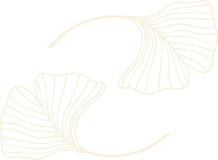 Line drawing of two ginkgo leaves with detailed venation, black background.