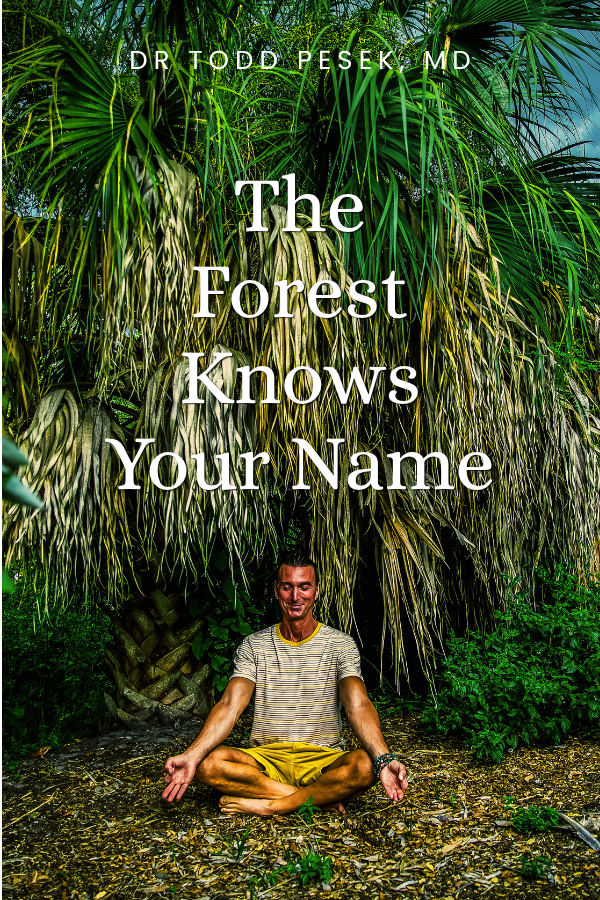 A person sitting cross-legged in a meditative pose underneath a large palm tree in a lush forest.