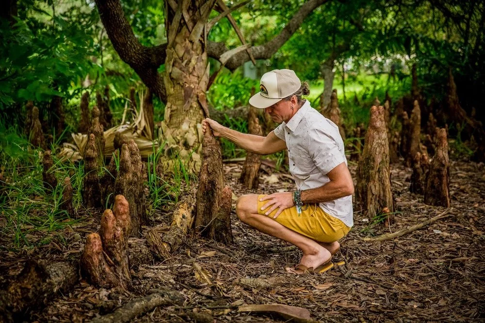 A man crouches in a swampy, wooded area, gently touching a cluster of tall, conical cypress knees.