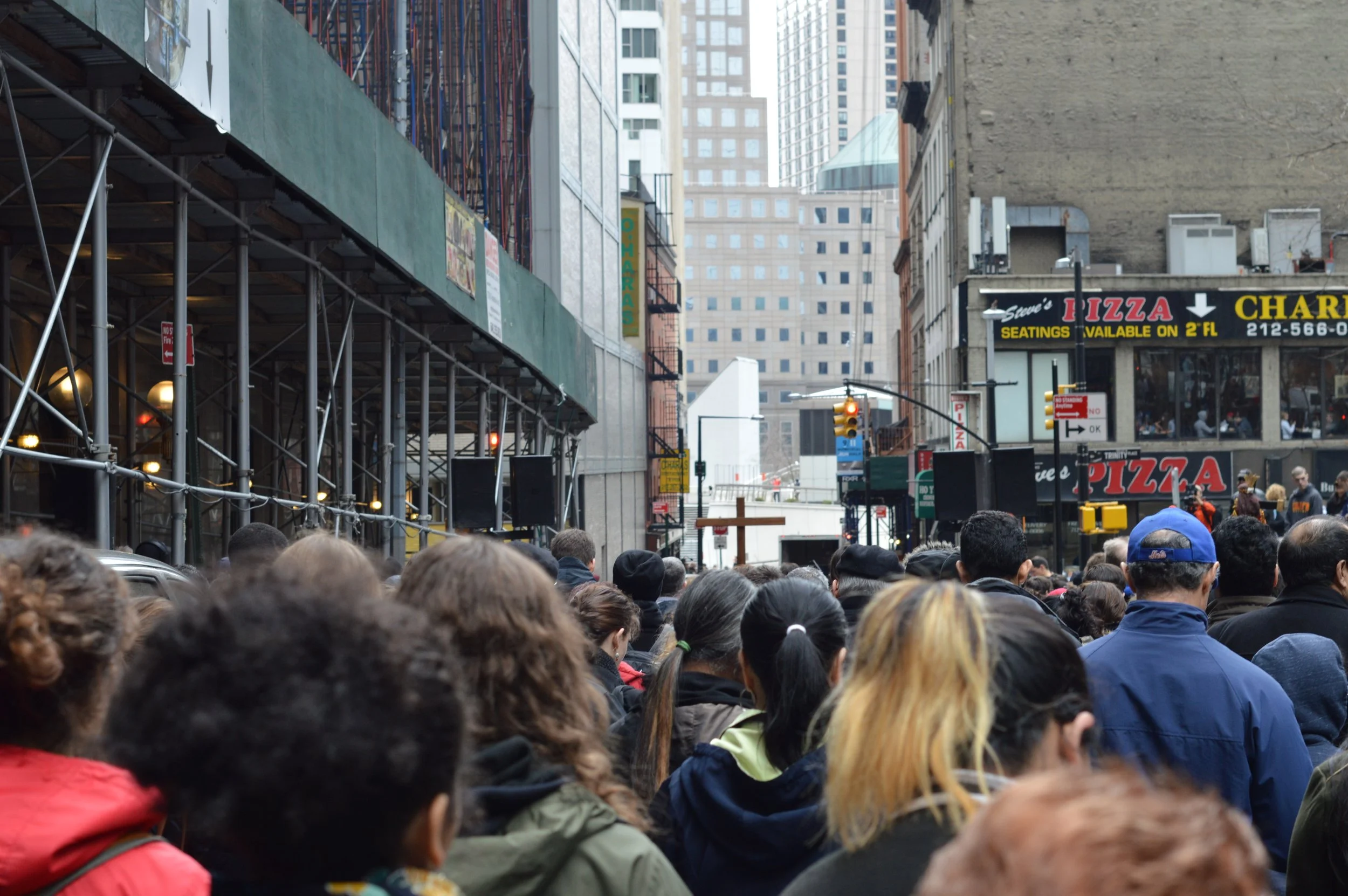 DSC_0816.jpg