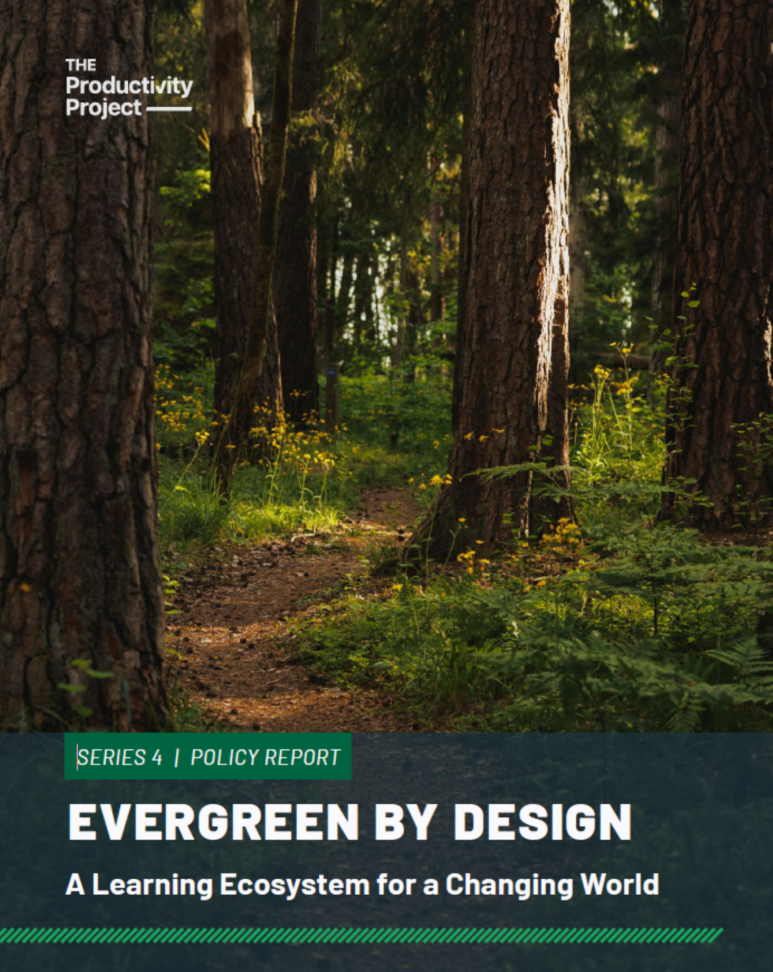 Evergreen by Design introduces the Evergreen Model, an architecture for understanding how different forms of human capability retain, lose, renew, and demonstrate value as labour markets change.