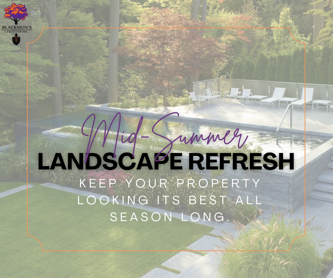 A backyard with a pool, white lounge chairs, and lush green trees, promoting mid-summer landscape refresh services by Black Mon's Landscaping.