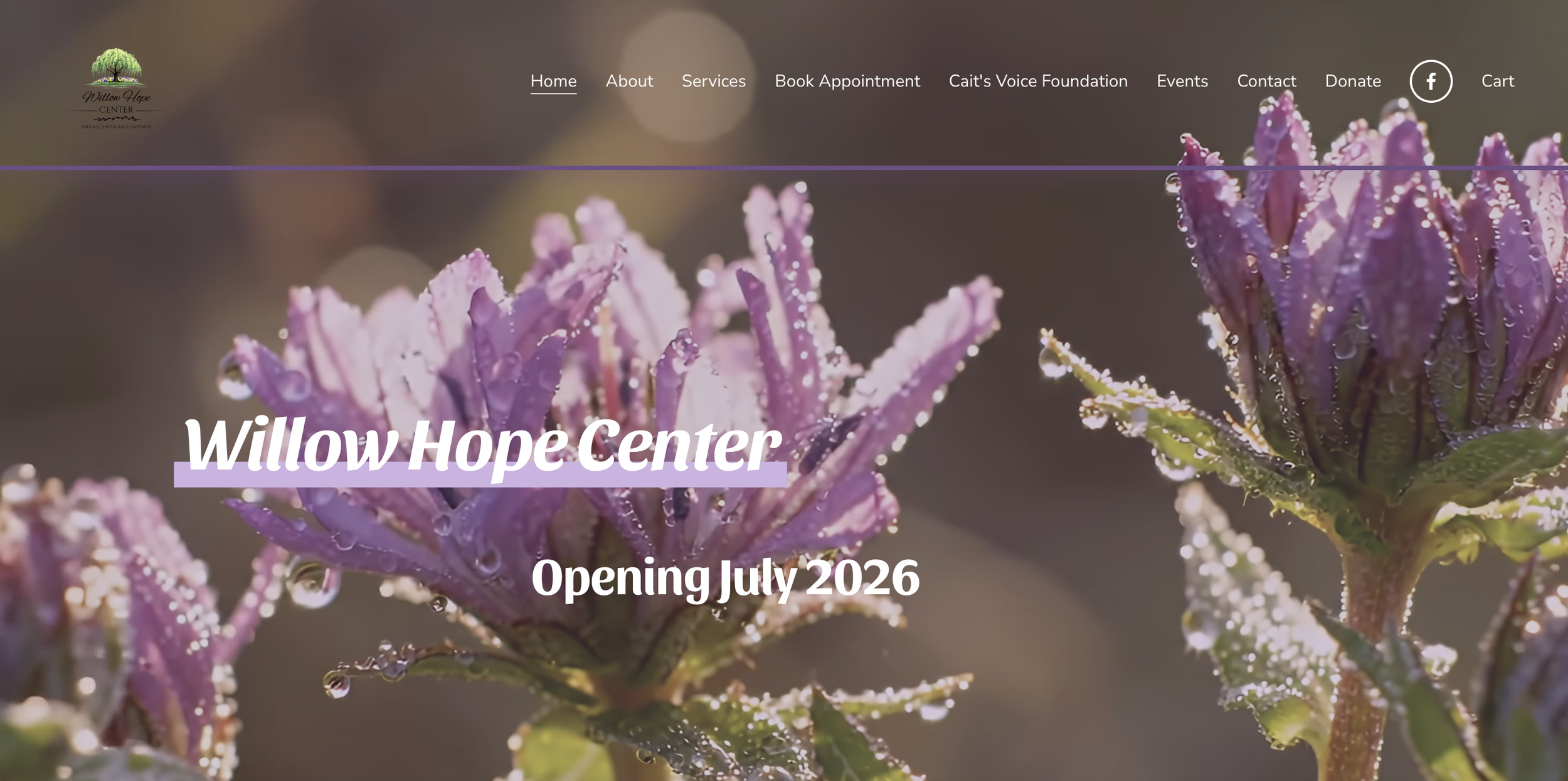 Willow Hope Center Website