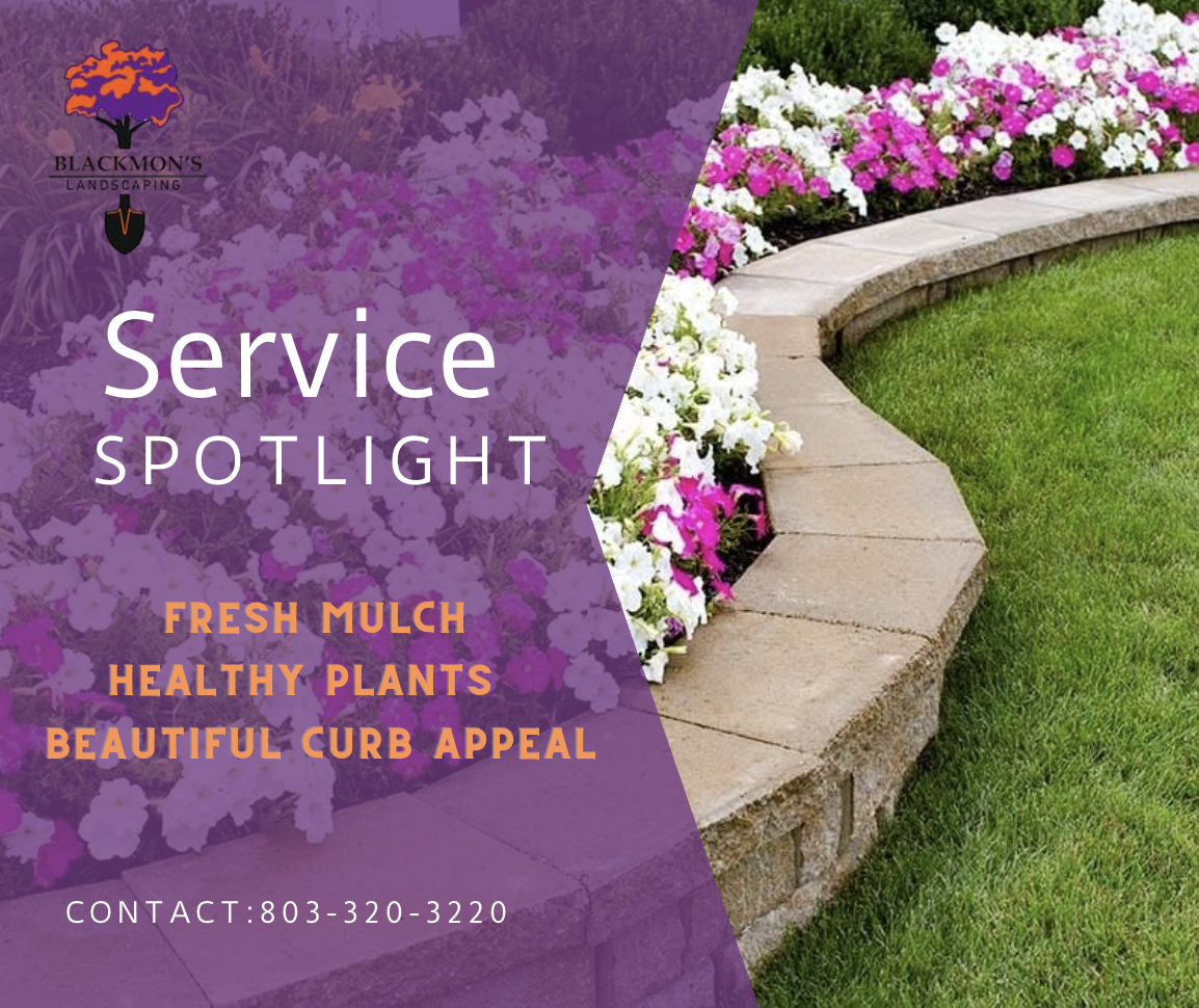 A landscaping advertisement with a photograph of a curved brick garden border filled with white and pink flowers, and green grass. Overlaid purple transparent banner with white and orange text promoting landscaping services including mulch, healthy p