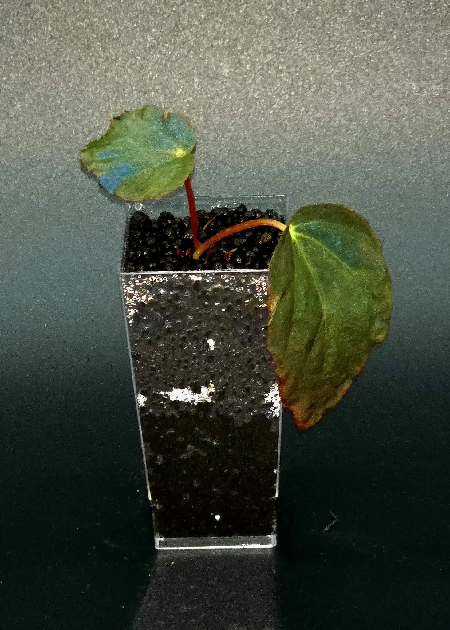download-2.jpg