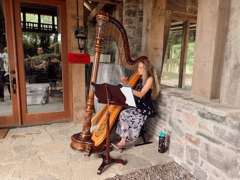 Zipp harpist.jpg