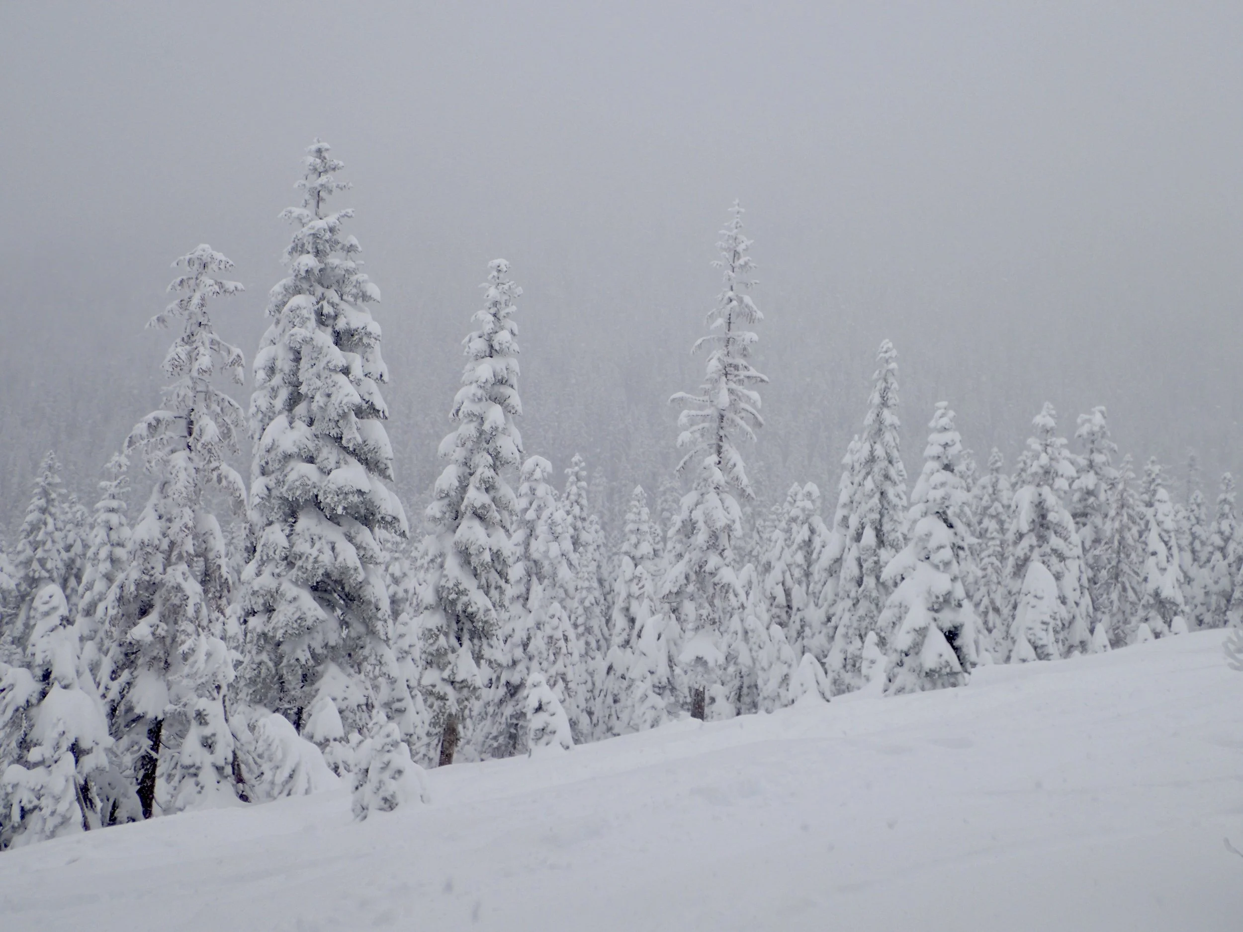 IMG_0021.jpeg