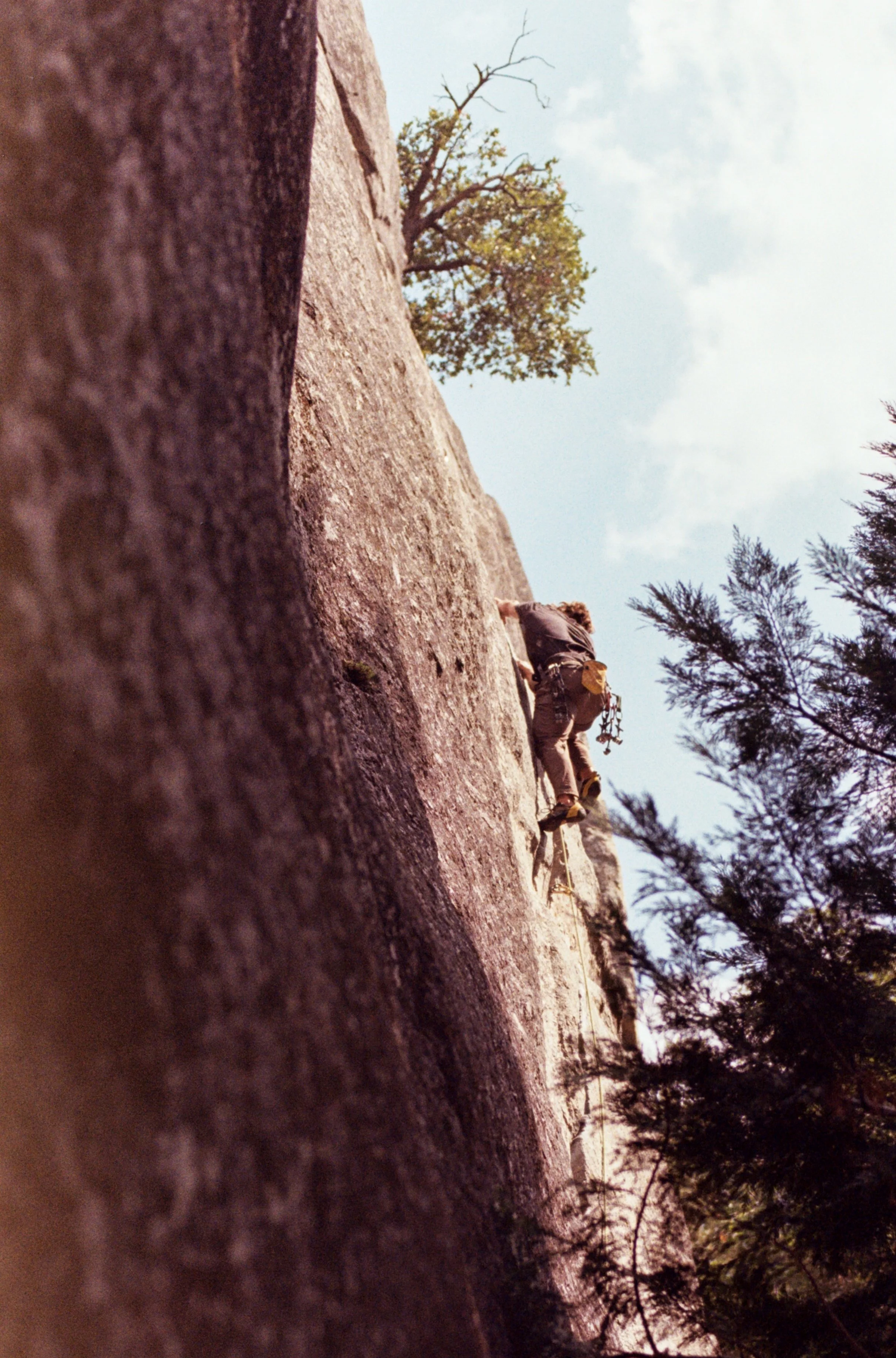 YOSEMITE_FILM_9-1-25-11.jpeg