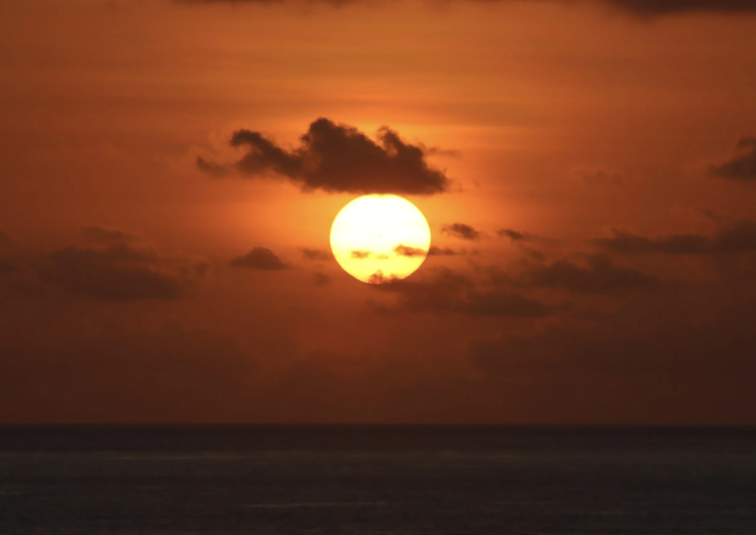 IMG_0531.jpeg