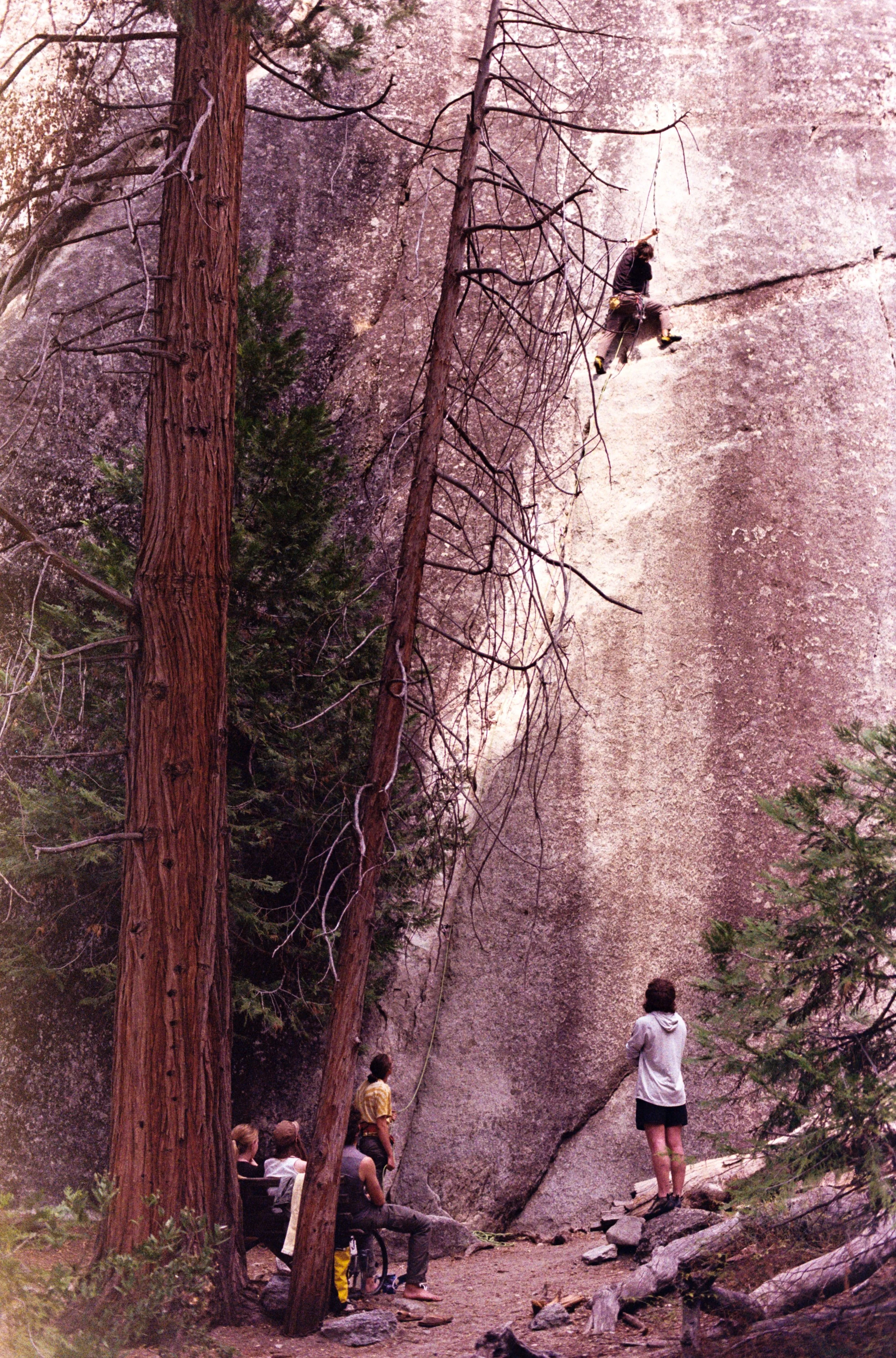 YOSEMITE_FILM_9-1-25-10.jpeg