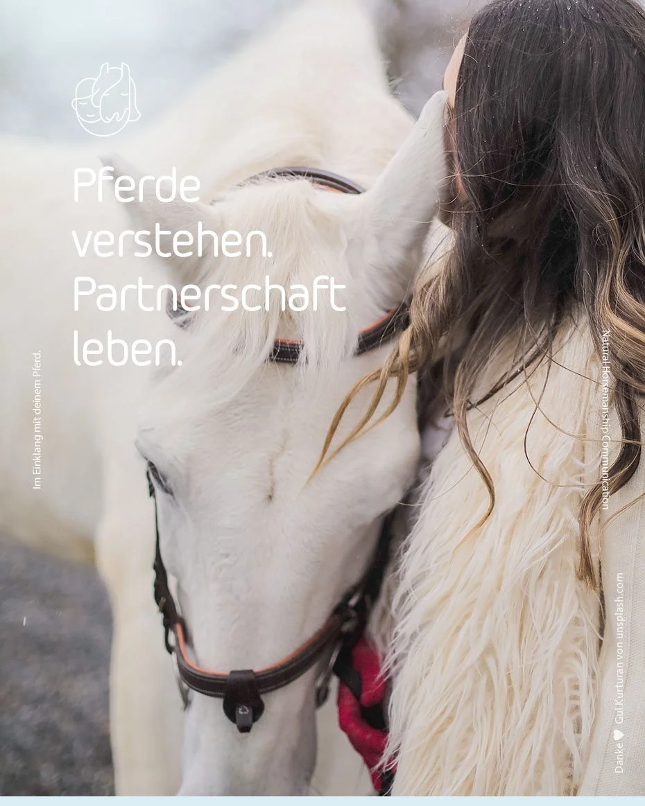 bild01.jpg