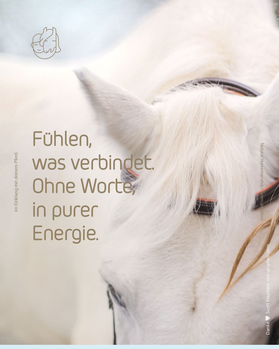 bild02.jpg