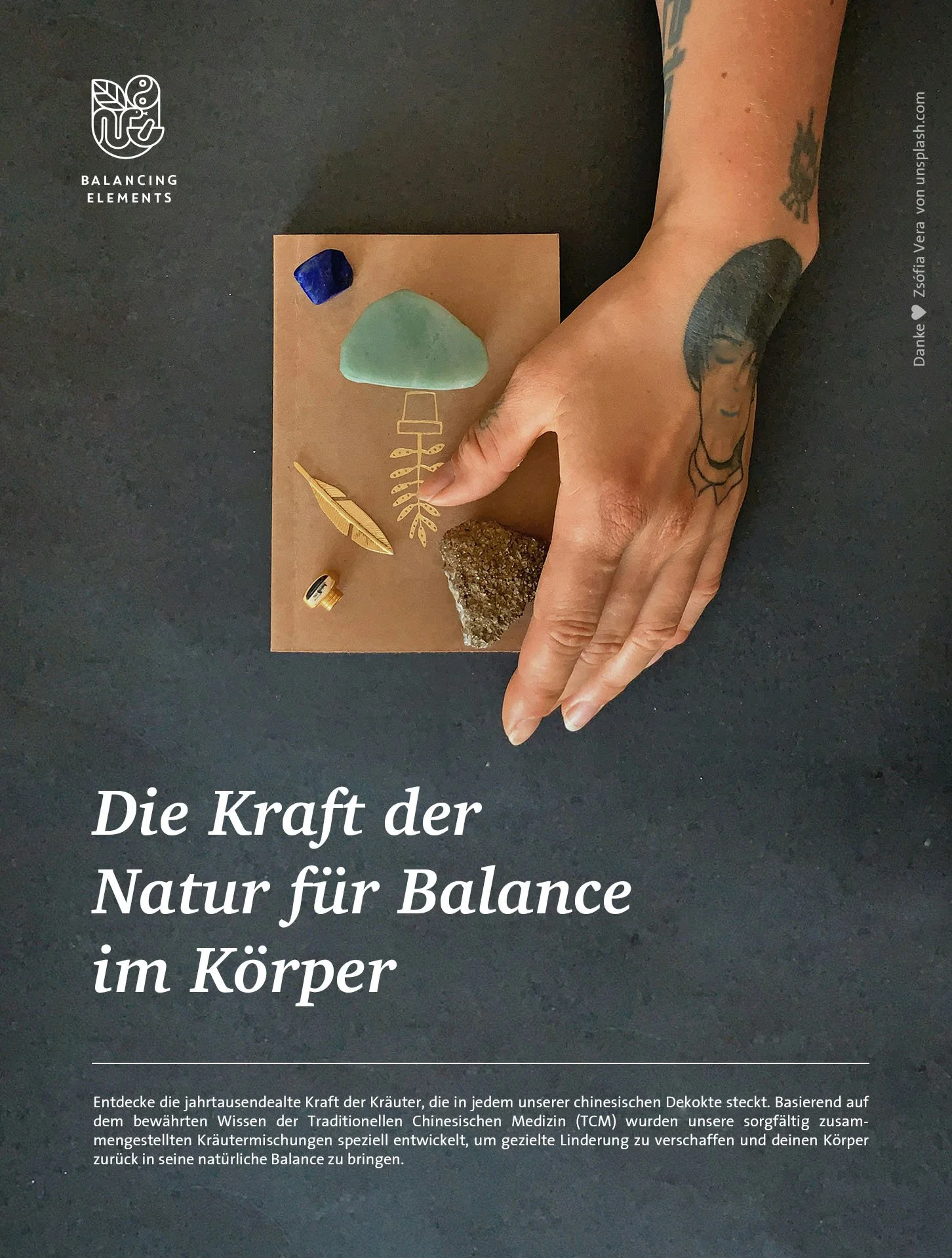 bild03.jpg