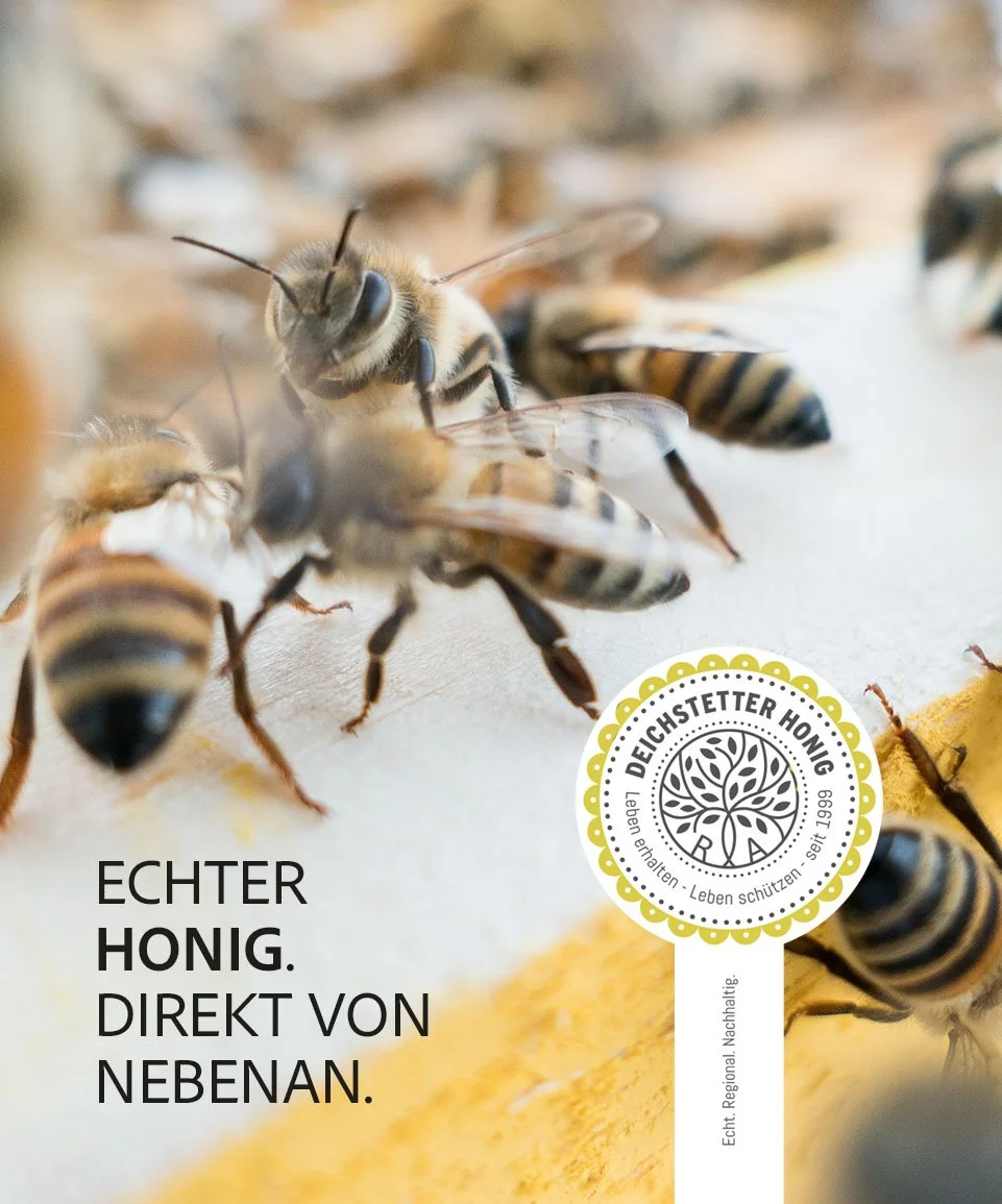 _deichstetter01.jpg