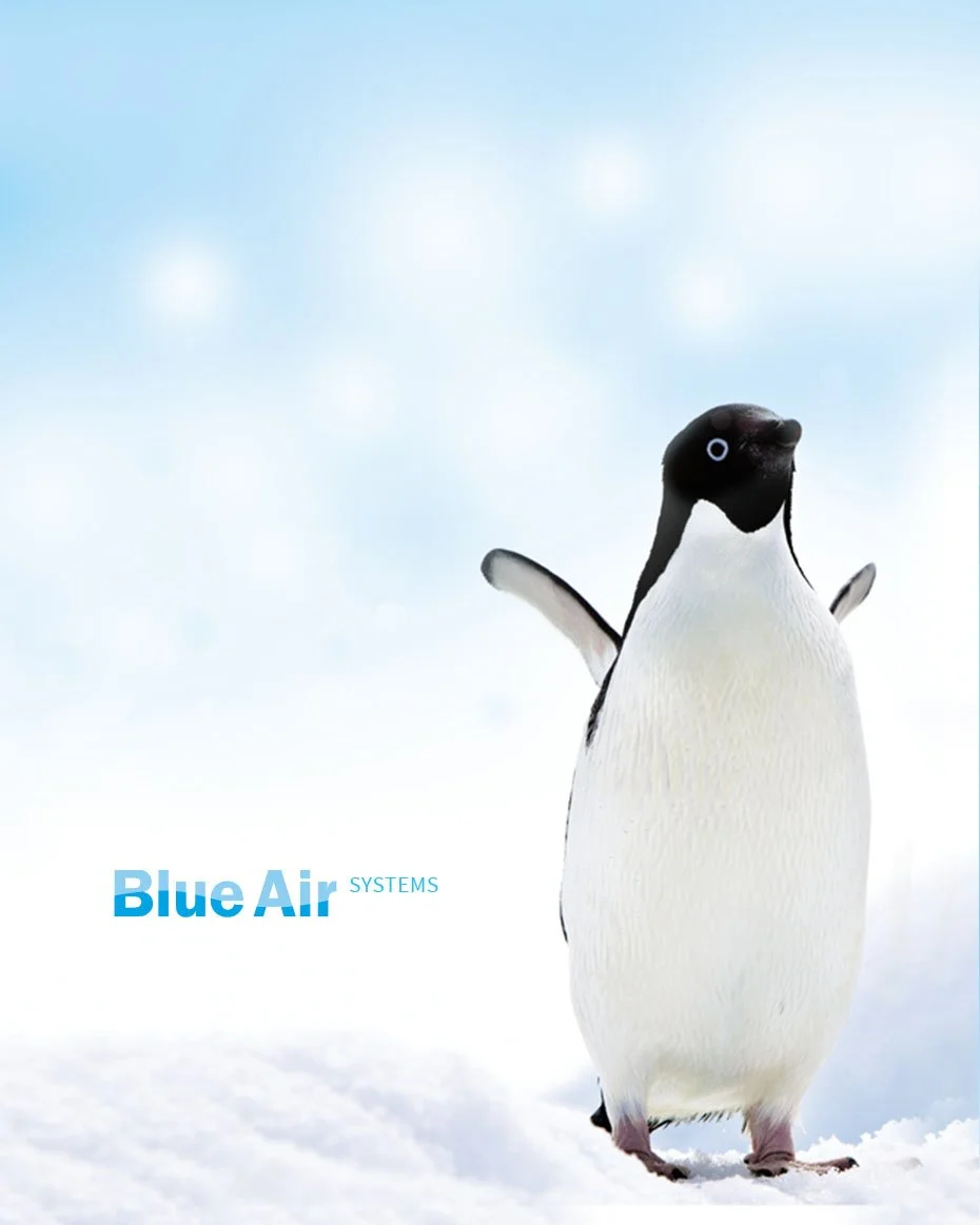 blueair01.jpg