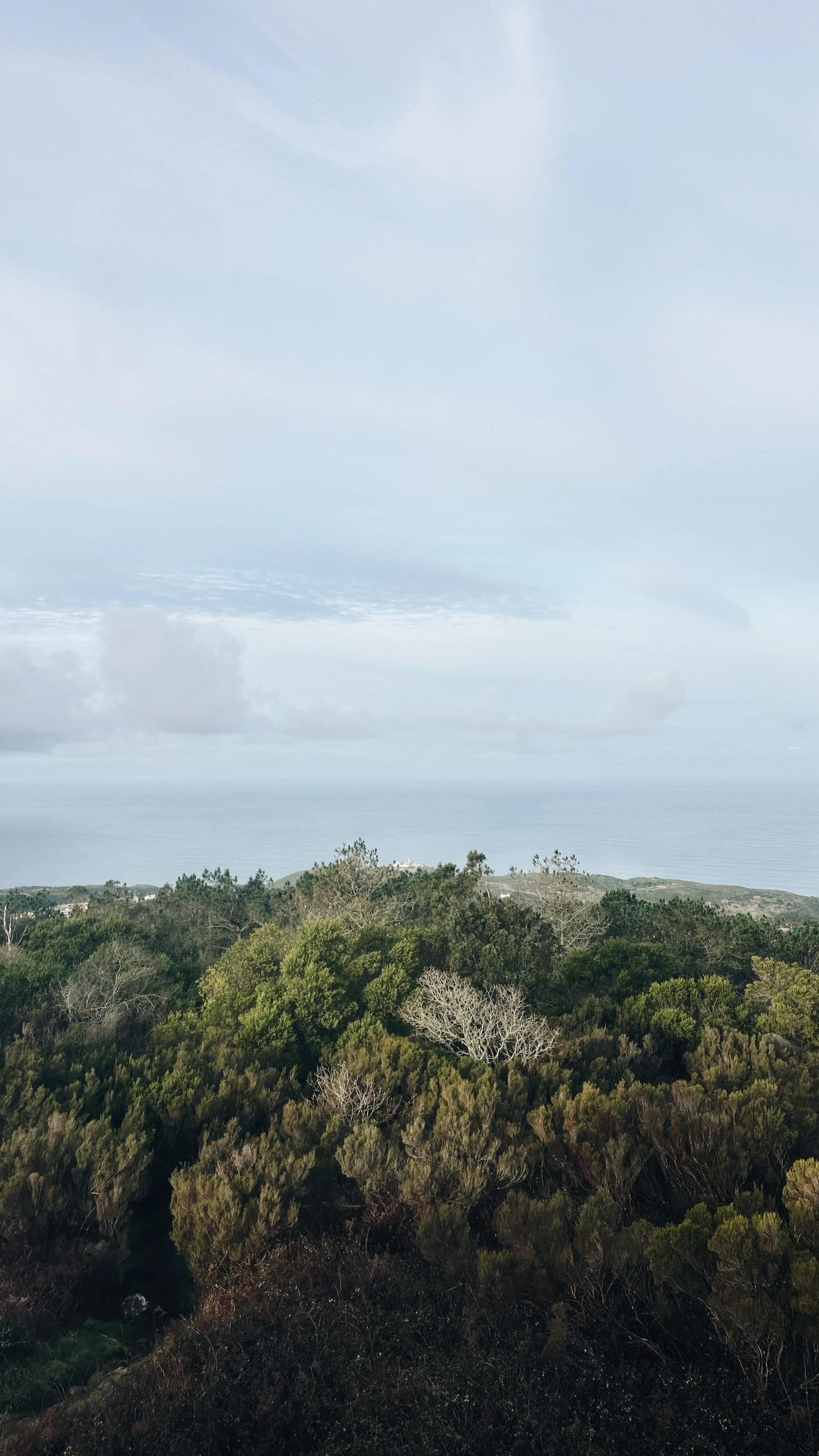 F37A57E2-4E36-485D-AAB9-4E11DF9B5C0E.JPG