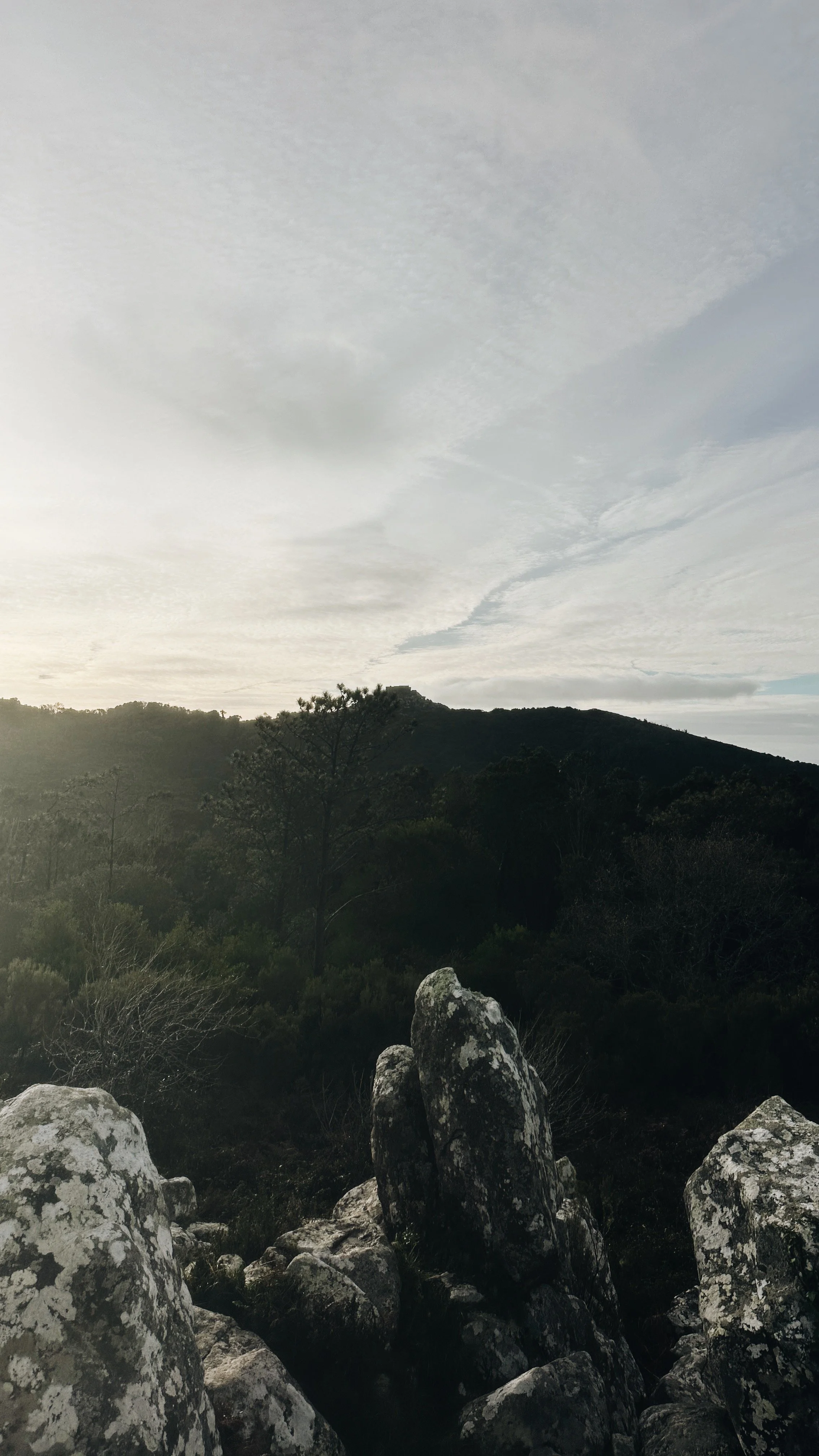 0A5AB0D8-43A3-4D6A-90C4-CF11D70F510E.JPG