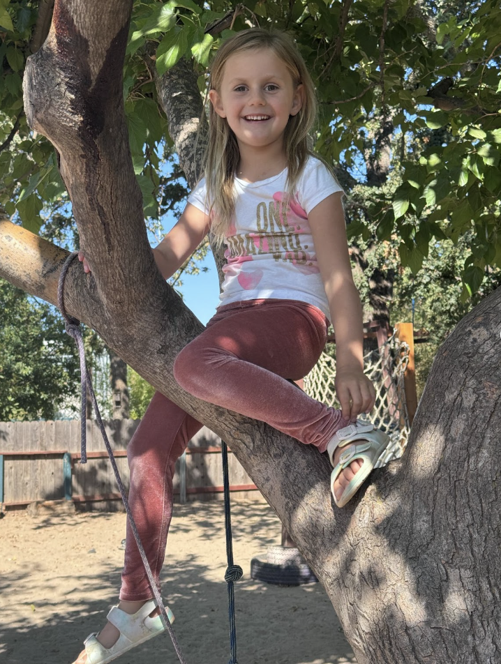 A young girl with long blonde hair, smiling, wearing a white t-shirt, maroon velvet leggings, and white sandals, climbing a large tree in a backyard.