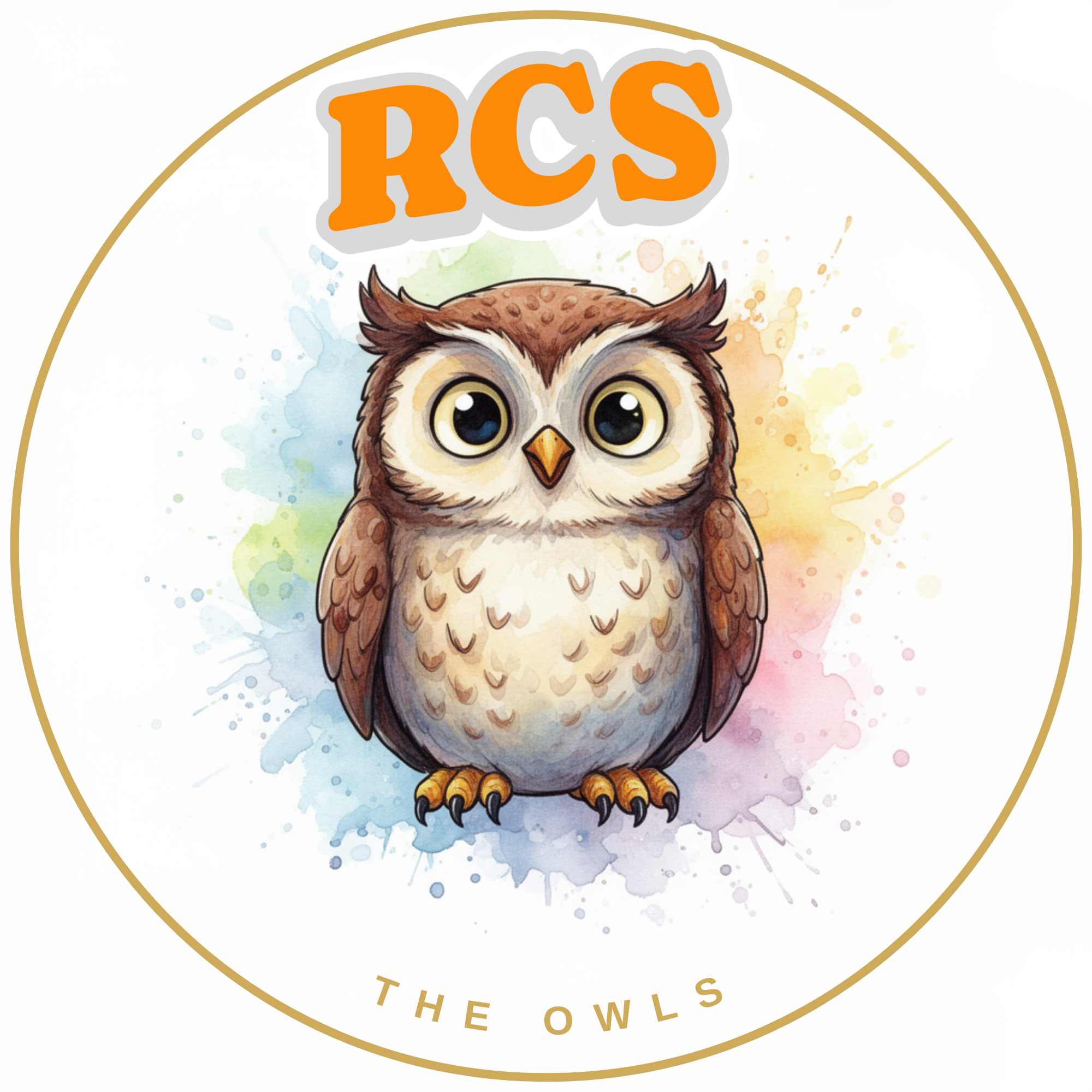A logo featuring a cartoon owl with large eyes, brown feathers, and a yellow beak, surrounded by watercolor splashes in pastel shades, with the text 'RCS' in orange above, and 'The Owls' in gold lettering beneath.