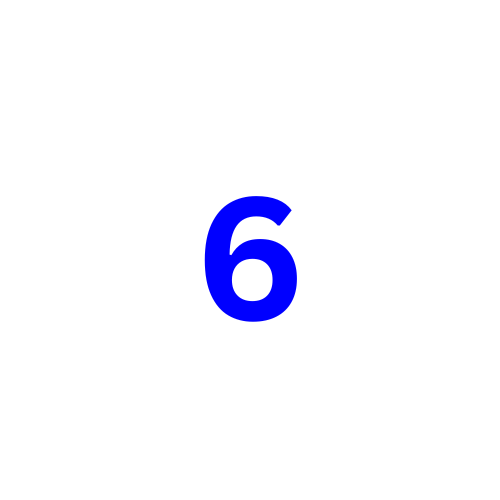 Number six in blue text on a white background.