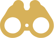 Close-up of a gold-colored pair of binoculars with a black background.