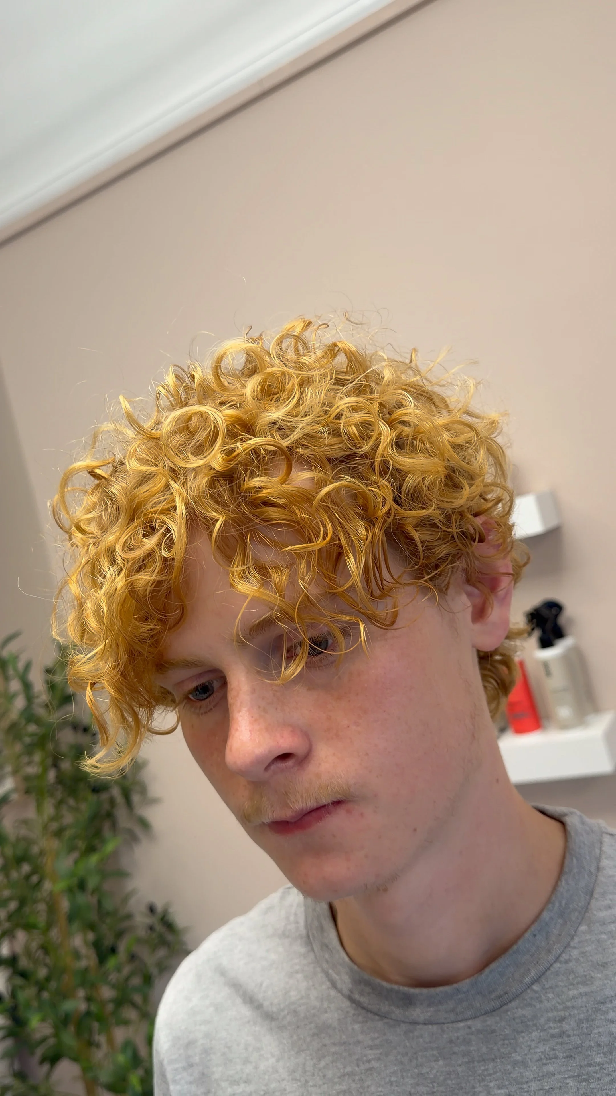 Close-up of a young person with curly platinum blonde hair, freckles, and wearing a light grey t-shirt, indoors with a plain wall, some plants, and objects in the background.