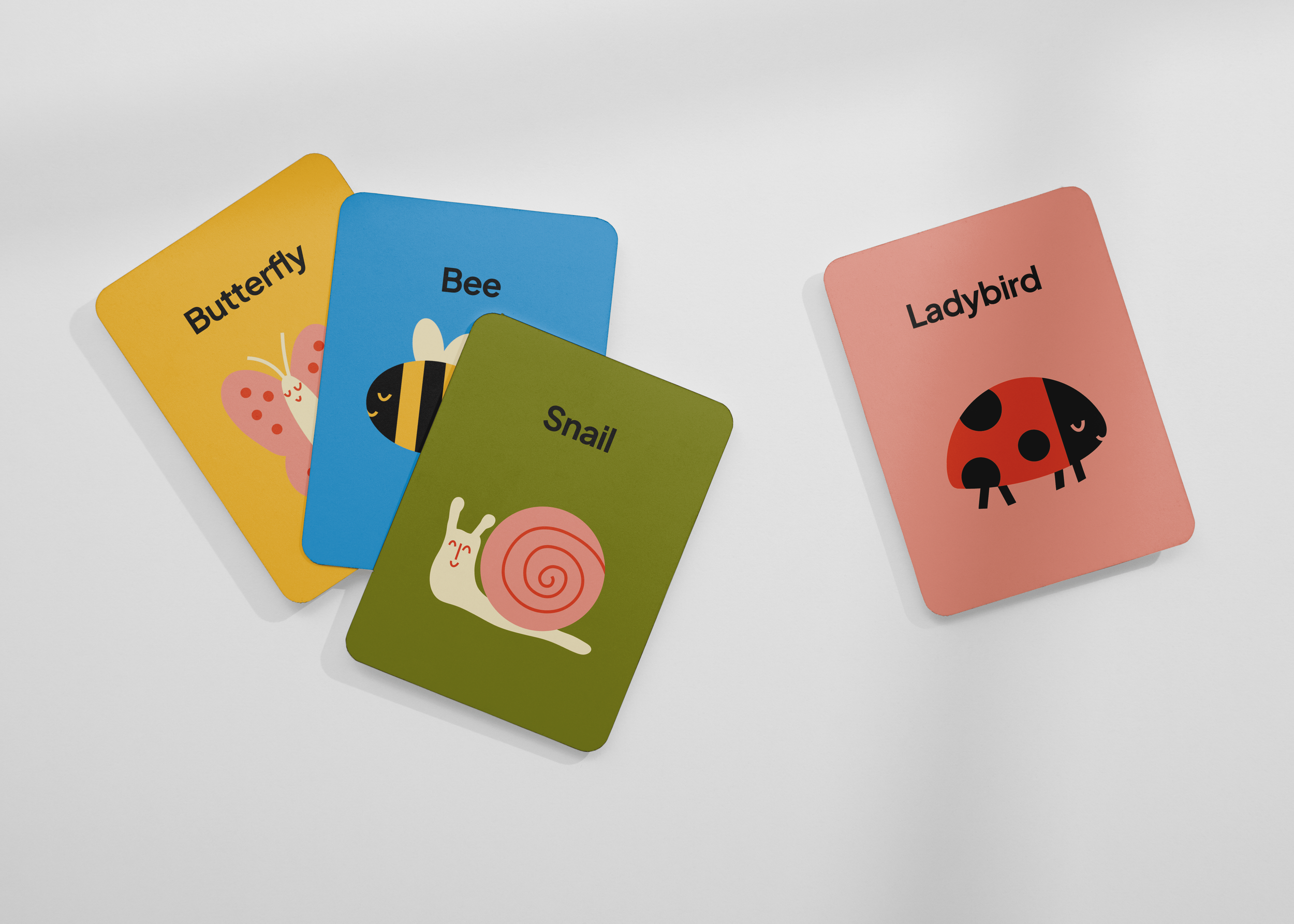 Colorful flashcards with pictures and words of a butterfly, bee, snail, and ladybird on a white surface.