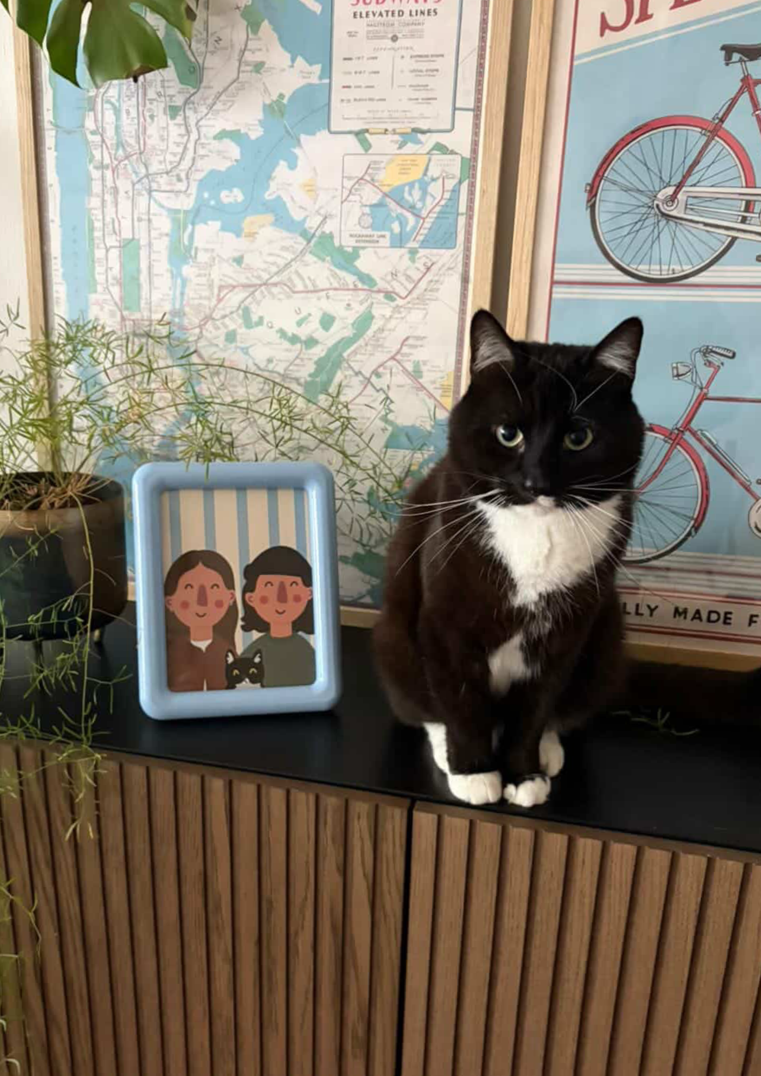 A black and white cat sitting on a black surface in front of a wooden panel, with a map, a poster of bicycles, a potted plant, and a cartoon illustrated phone holder with two people and a small black and white dog behind it.