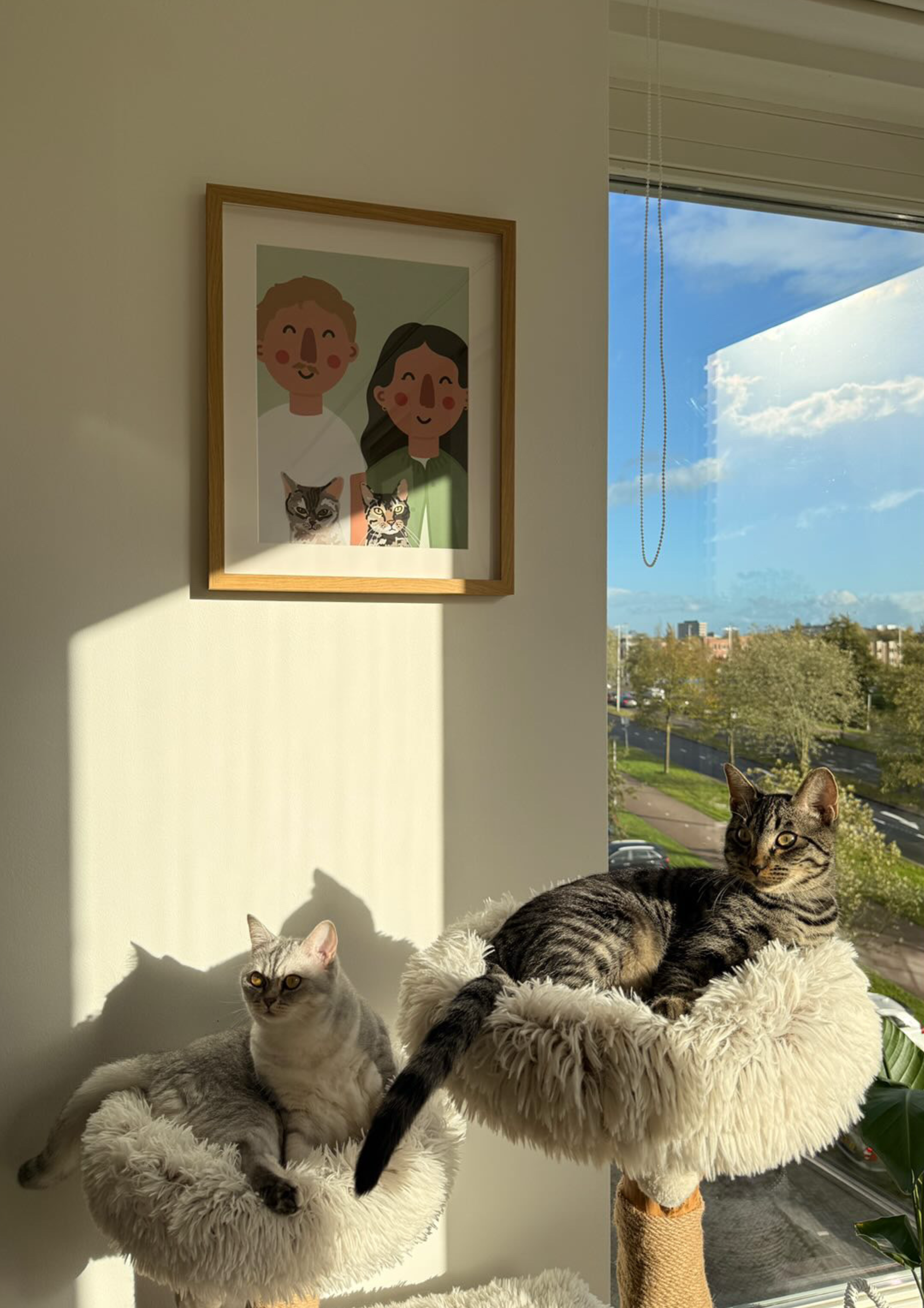 Two cats lying on a plush white cat tree near a window with a cityscape view and a blue sky with scattered clouds. One cat is a tabby, awake and looking at the camera, the other is a gray and white cat, resting on the plush surface.