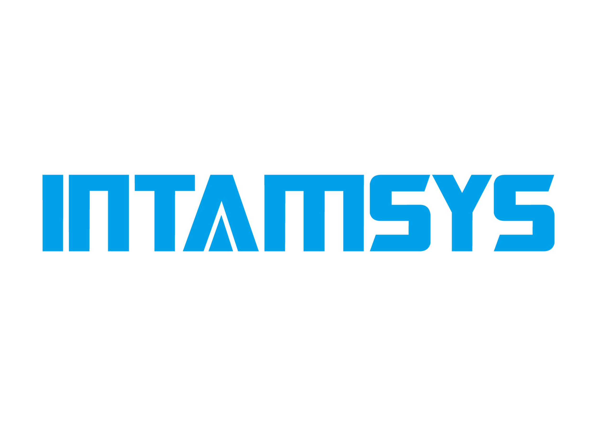 Intamsys Logo