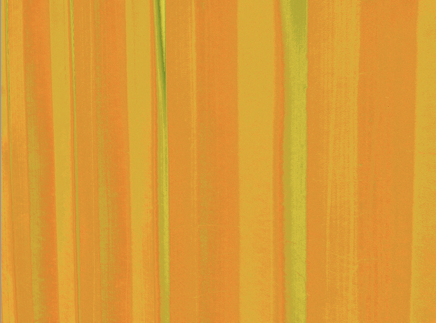 EX_9262.25.05