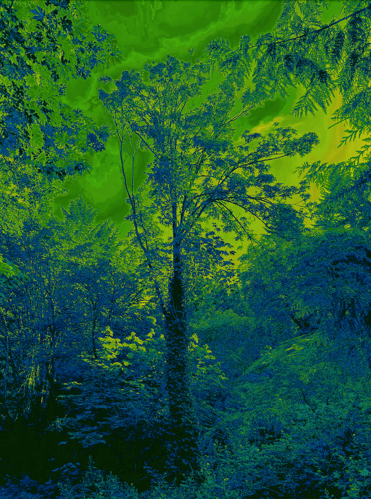 TR_7669.25.01