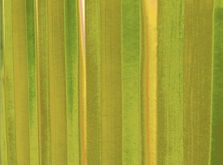 EX_9262.25.06