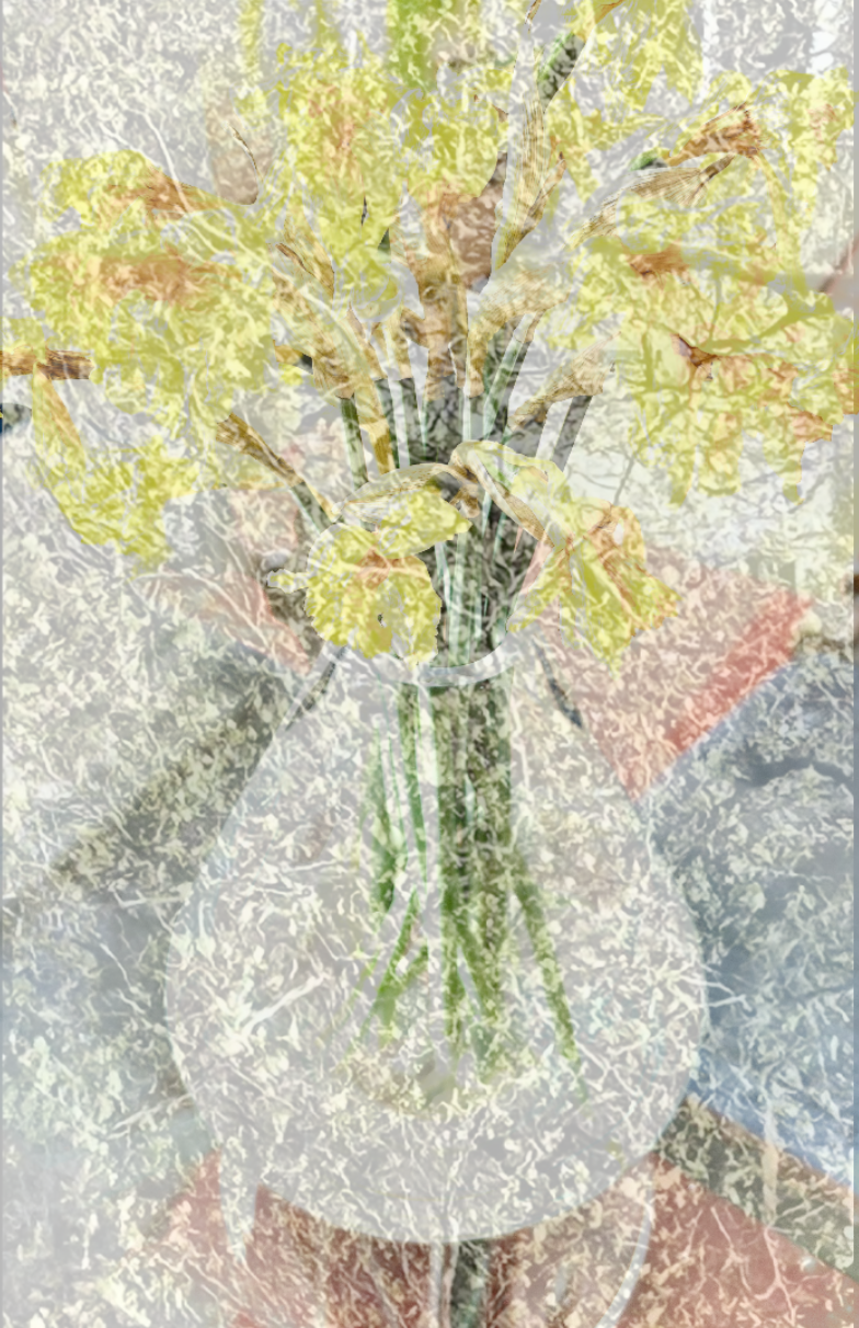 MP_2155.26.01