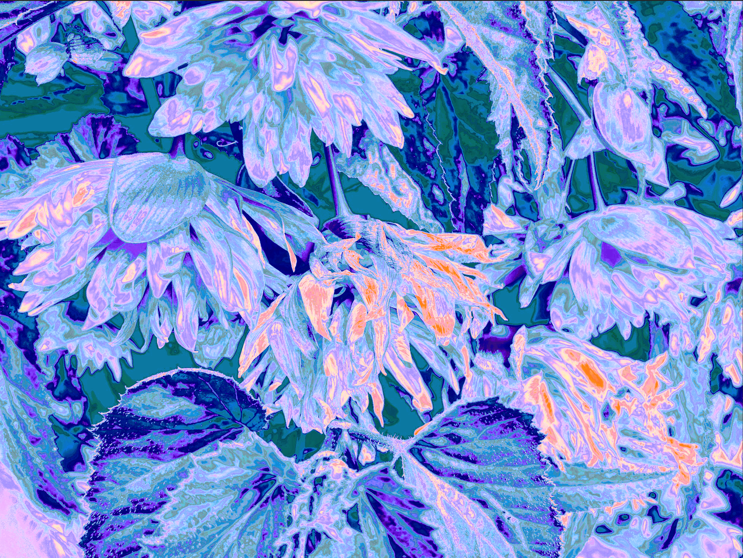 Botanicals