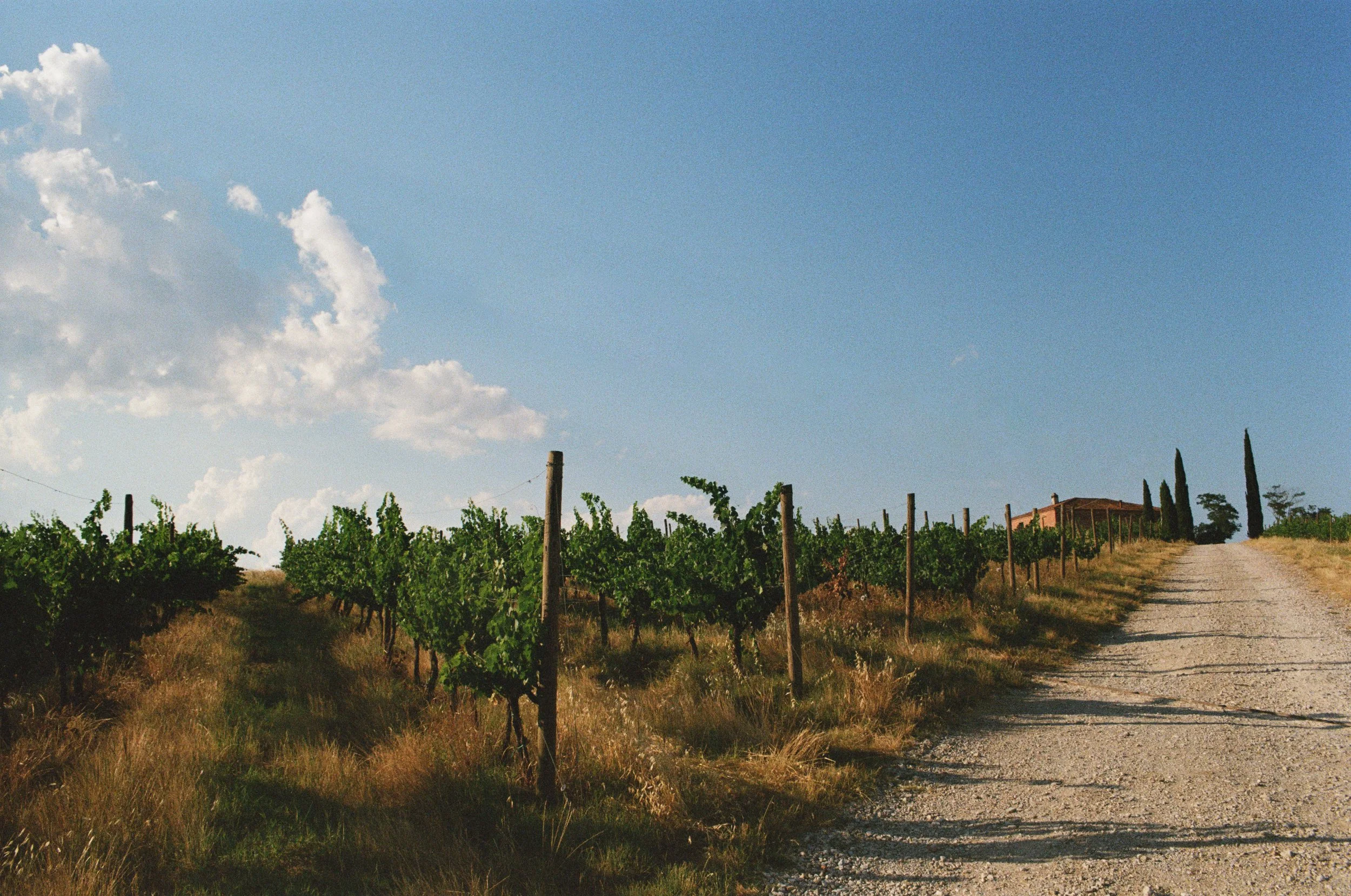 atolerphotoitaly2025-000040950015-web.jpg