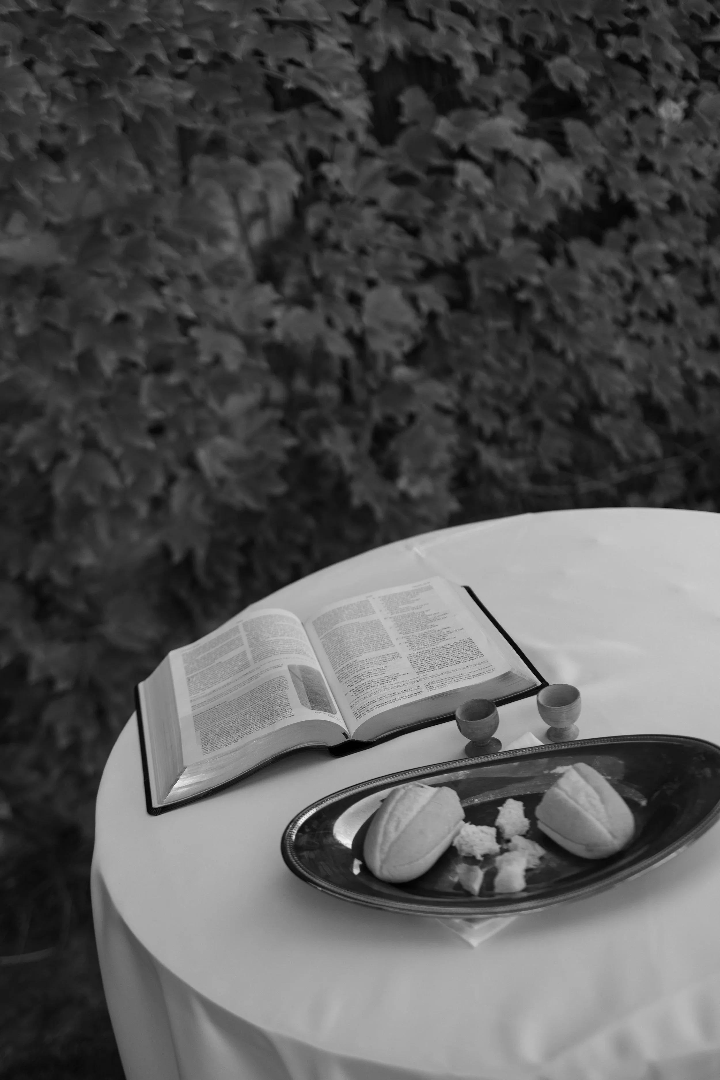 imgi_81_emilycolemanatolerphoto-4804.jpg