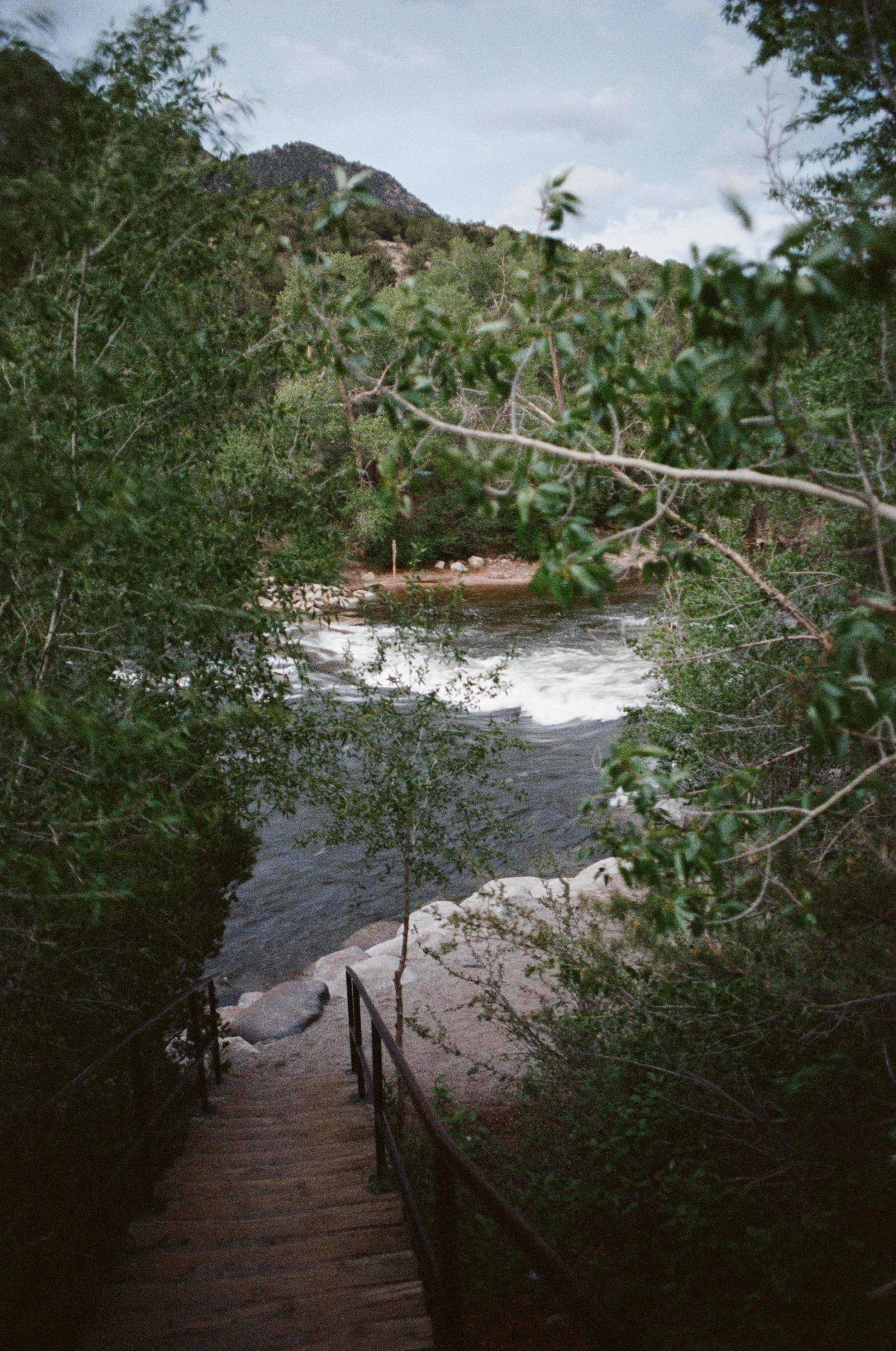 imgi_69_IMG_7313.jpg